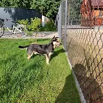 Hébergement de vacances Pauza - Dom Nad Jeziorem *