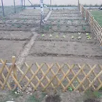 Pauza - Dom Nad Jeziorem Hébergement de vacances Drzewoszewo