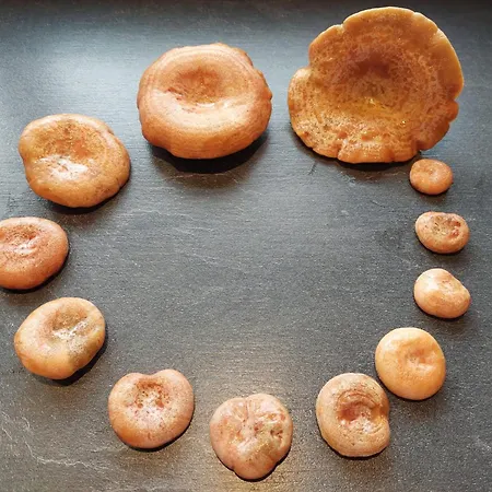 Pauza - Dom Nad Jeziorem Drzewoszewo