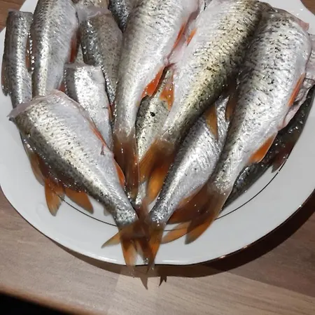Prázdninový dům Pauza - Dom Nad Jeziorem *