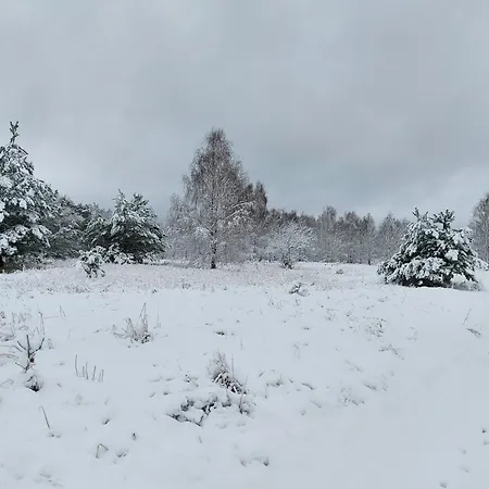Prázdninový dům Pauza - Dom Nad Jeziorem