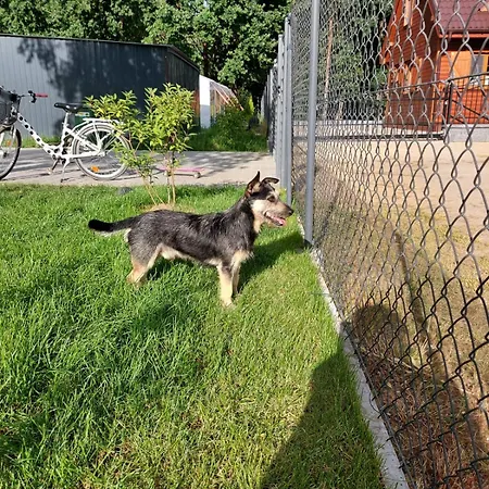 Prázdninový dům Pauza - Dom Nad Jeziorem *