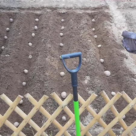 Pauza - Dom Nad Jeziorem Prázdninový dům *