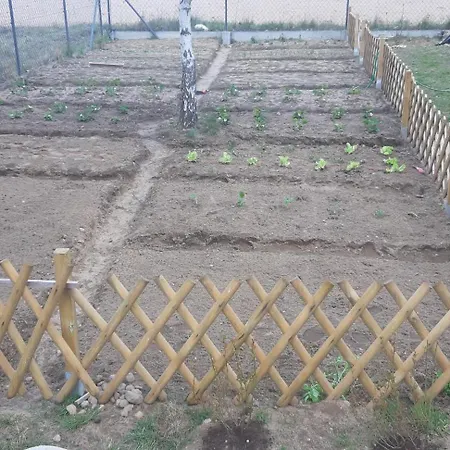 Pauza - Dom Nad Jeziorem Prázdninový dům Drzewoszewo