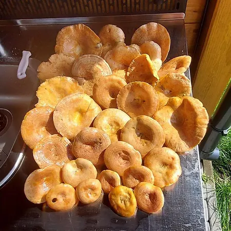 Pauza - Dom Nad Jeziorem Prázdninový dům