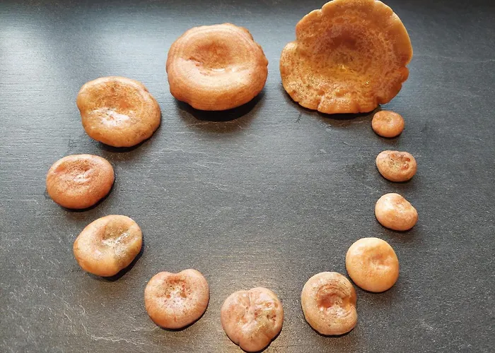 Pauza - Dom Nad Jeziorem Drzewoszewo