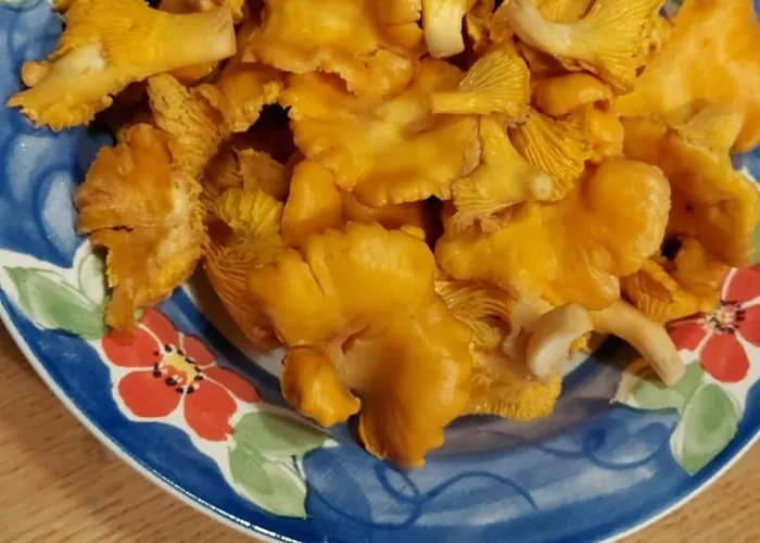 Pauza - Dom Nad Jeziorem Drzewoszewo