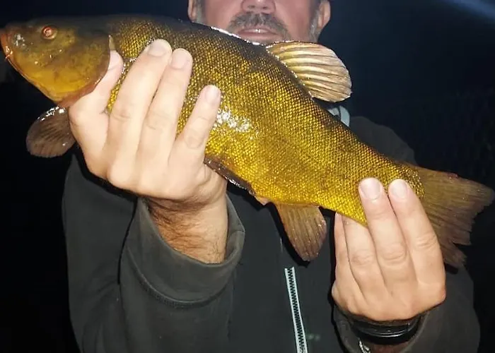 Pauza - Dom Nad Jeziorem Holiday home