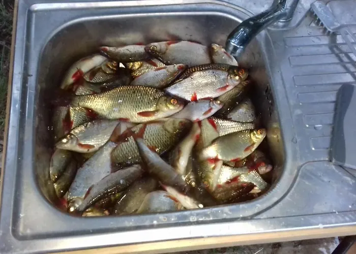 Holiday home Pauza - Dom Nad Jeziorem