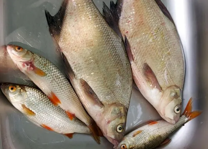 Holiday home Pauza - Dom Nad Jeziorem Drzewoszewo