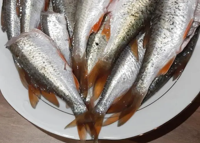 Holiday home Pauza - Dom Nad Jeziorem *