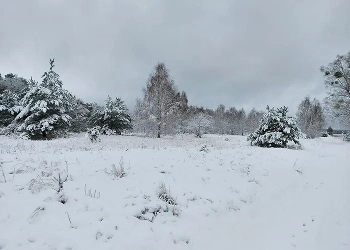 Holiday home Pauza - Dom Nad Jeziorem