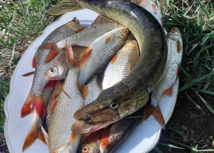 Pauza - Dom Nad Jeziorem Holiday home