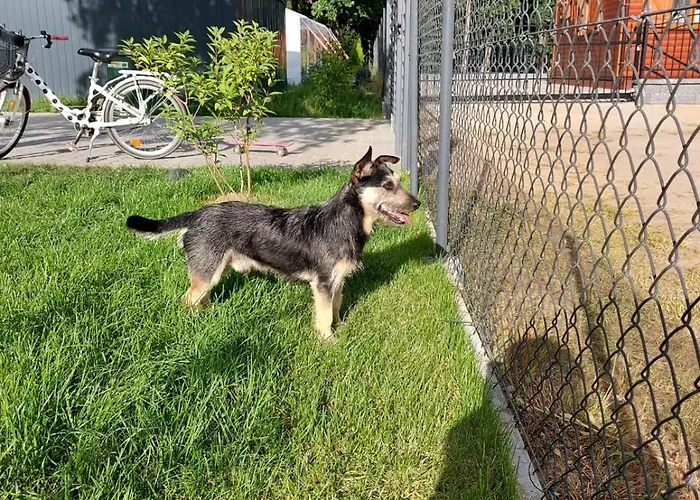 Holiday home Pauza - Dom Nad Jeziorem *