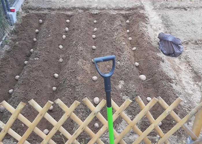 Pauza - Dom Nad Jeziorem Holiday home *