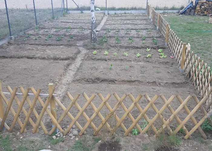 Pauza - Dom Nad Jeziorem Holiday home Drzewoszewo