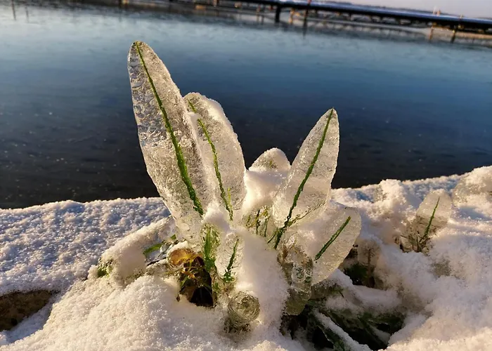Pauza - Dom Nad Jeziorem *